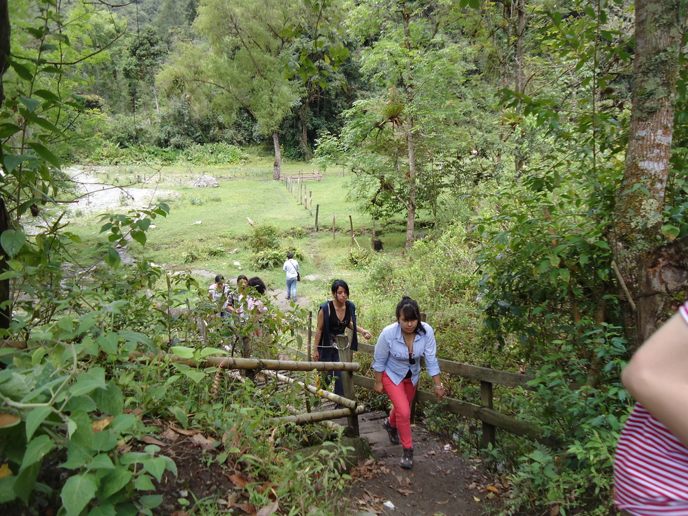 Practica de campo