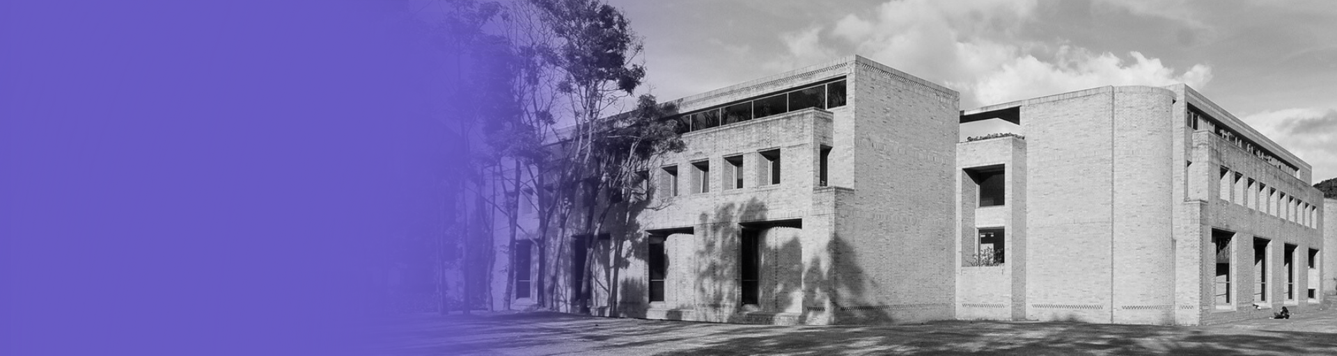 Conoce nuestros descuentos