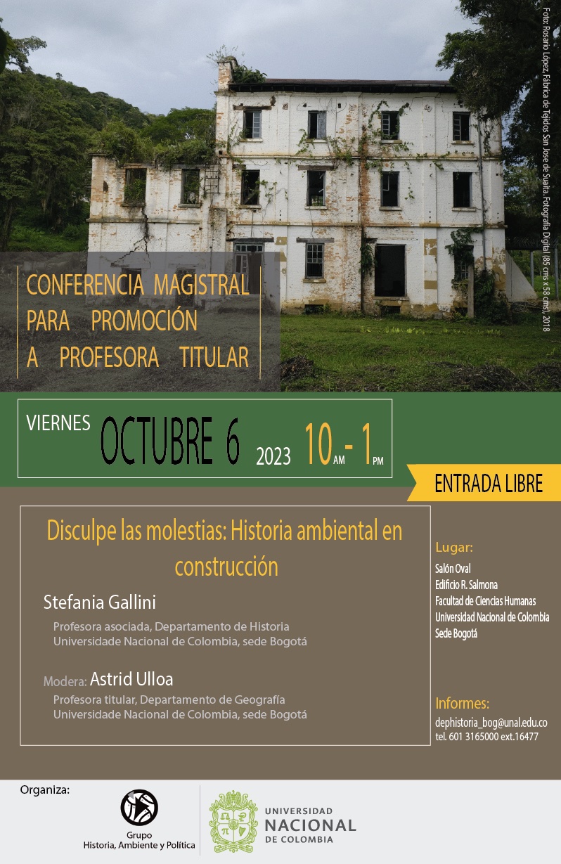 Conferencia magistral para promoción a Profesora Titular: Stefania Gallini