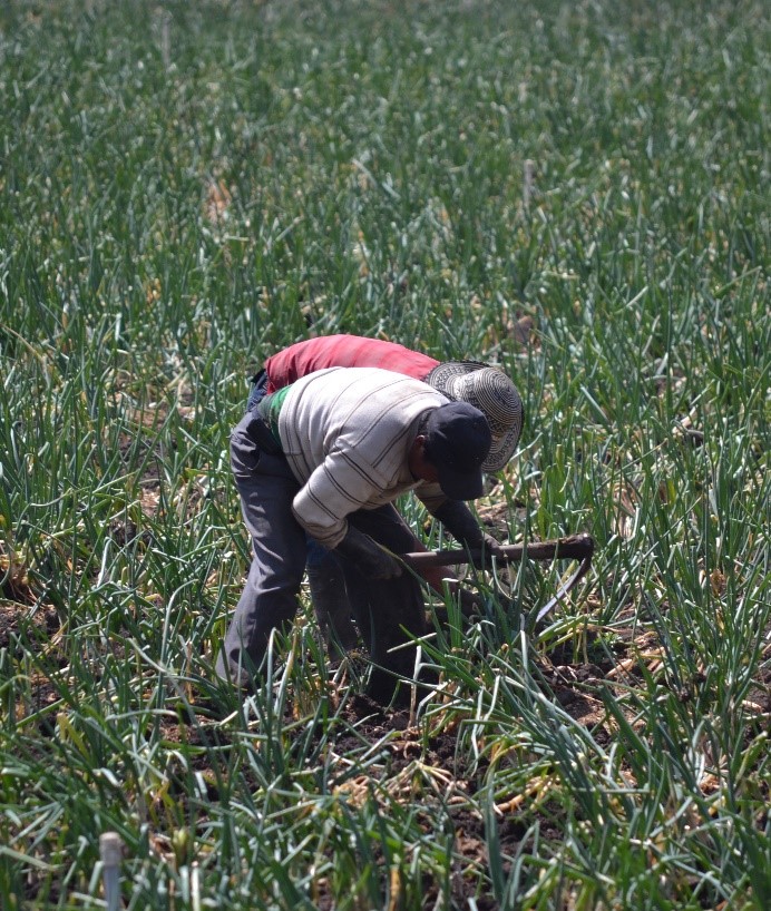 Foto: Juan Carlos Villamizar, Campesinos de Tota, 2016