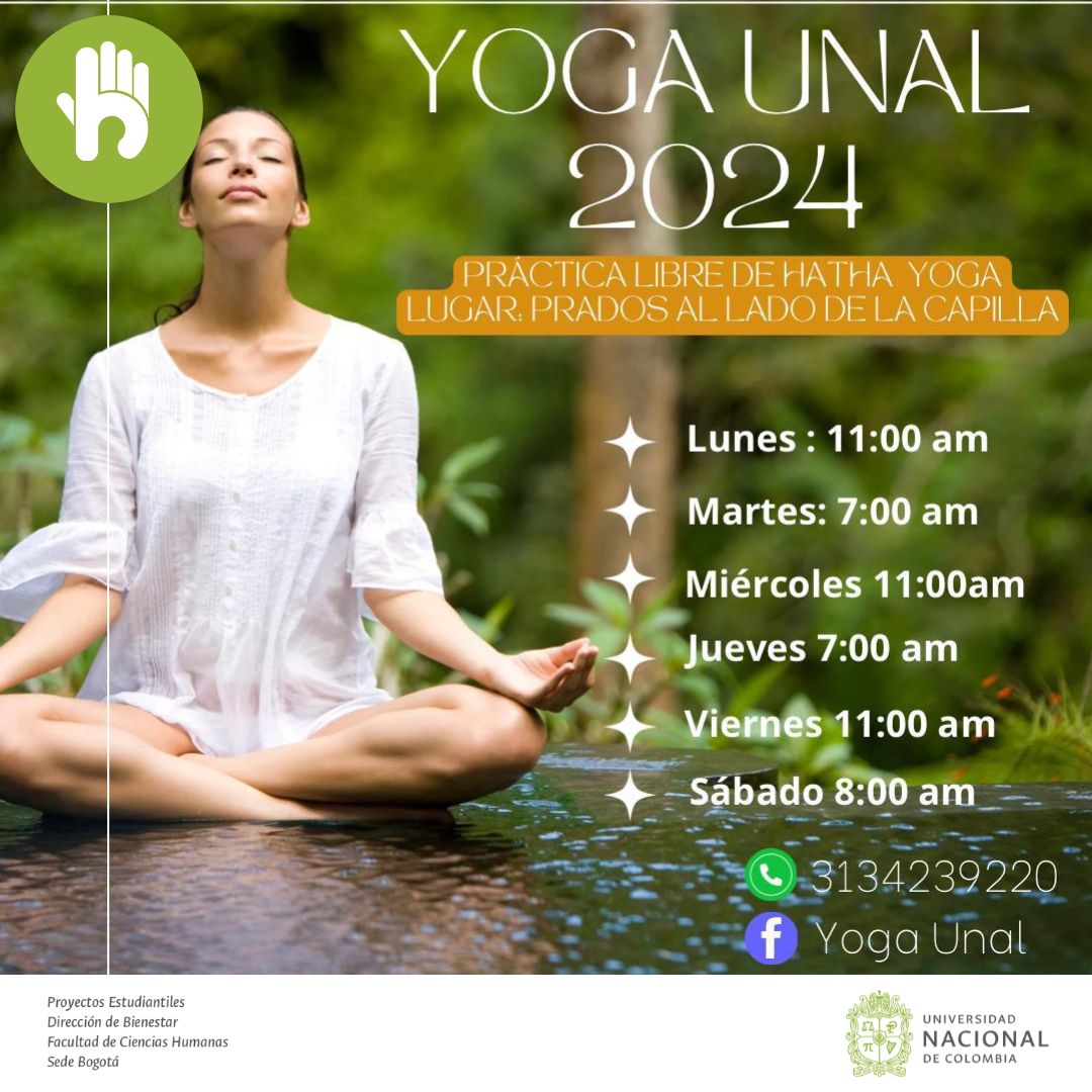 ¡Descubre la Serenidad a Través del Hatha Yoga!