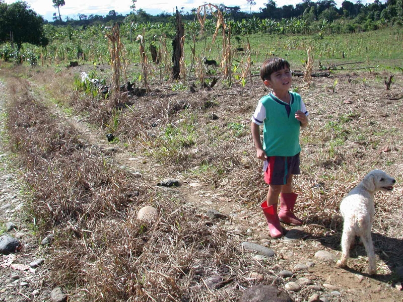 A boy on fumigated farm. Photo by Sanho Tree