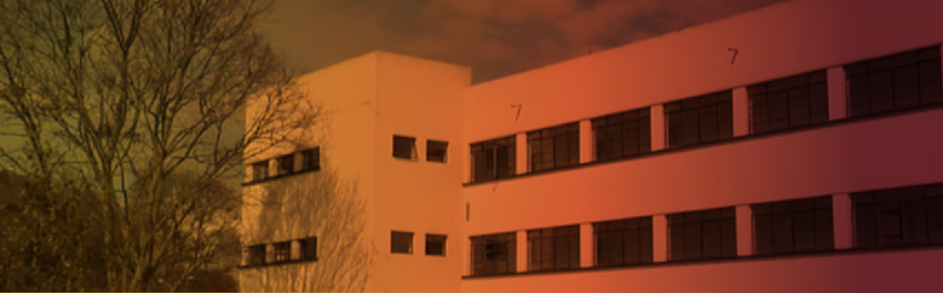 Aprendizaje y Comportamiento Animal