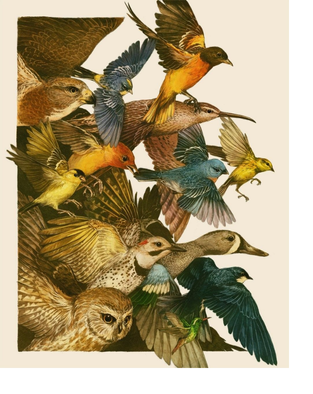 Agregar algo de texto (3).png