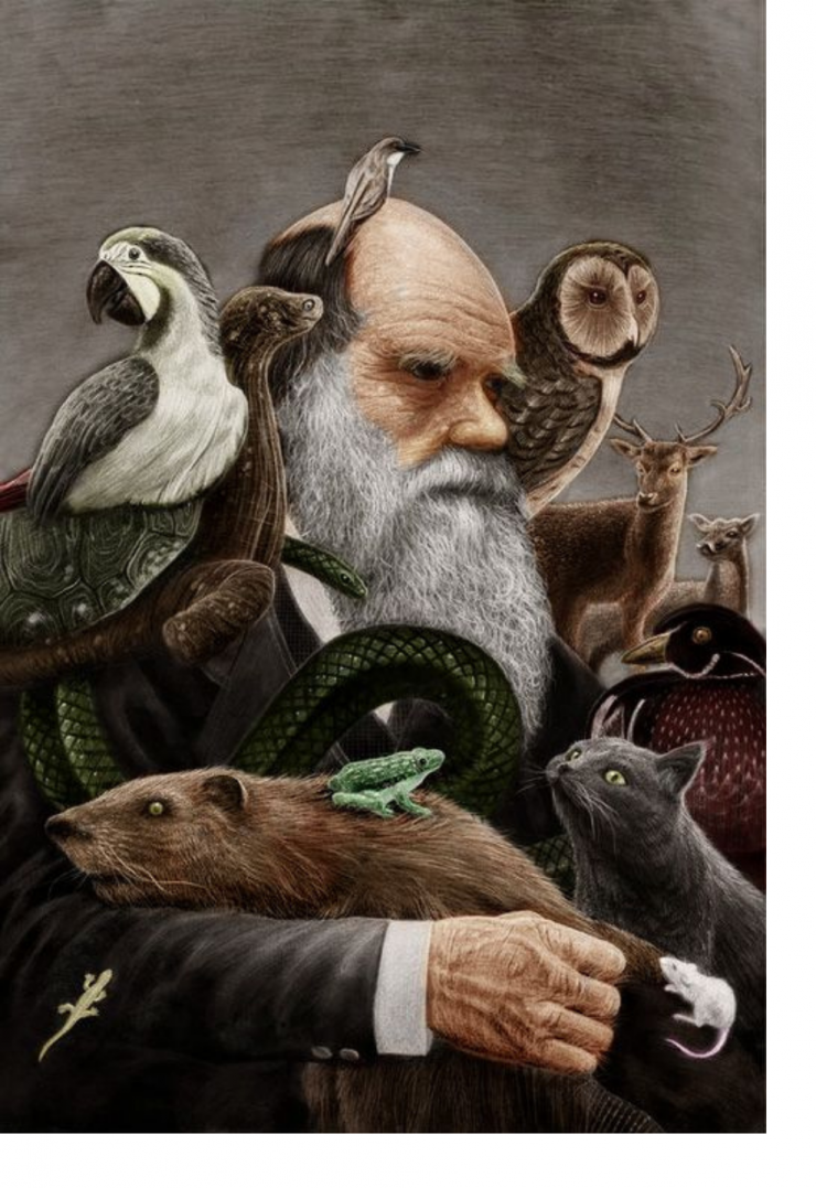 Diseño sin título (23).png