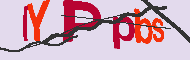 Codigo Captcha