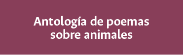 boton-1b.png